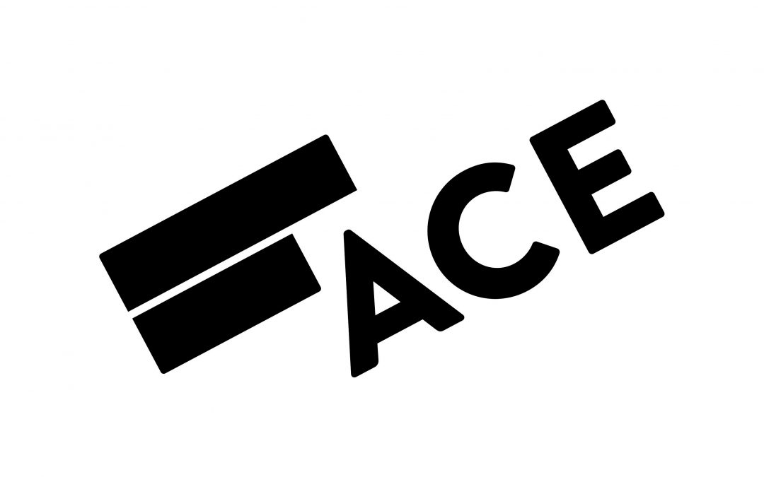 ACE announces the appointment of Darya Krasilnikov as its new acting director