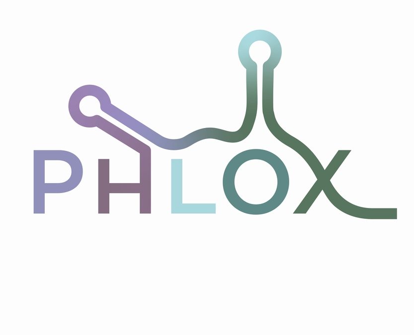 AMC start-up Phlox Therapeutics is founded